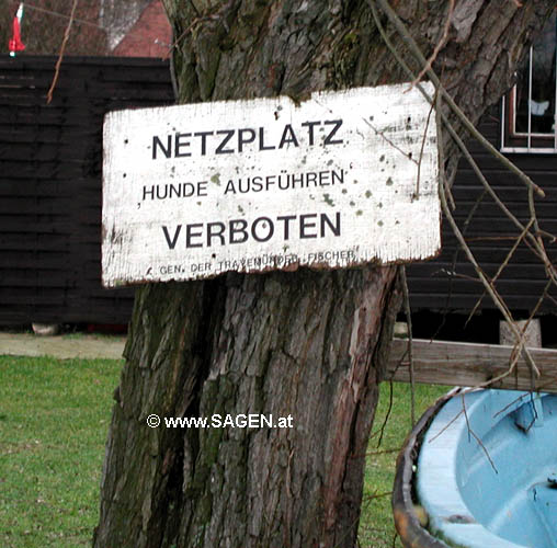 netzplatz.jpg