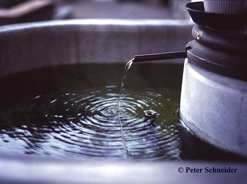 Der Brunnen von Kaltenbrunn der im Ansehen einer Heilquelle ist © Peter Schneider