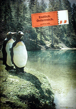 Pinguine in Österreich
