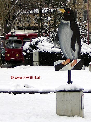 Pinguine in Österreich
