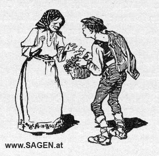 Die Mutter und ihr dummer Sohn, Wilhelm Roegge