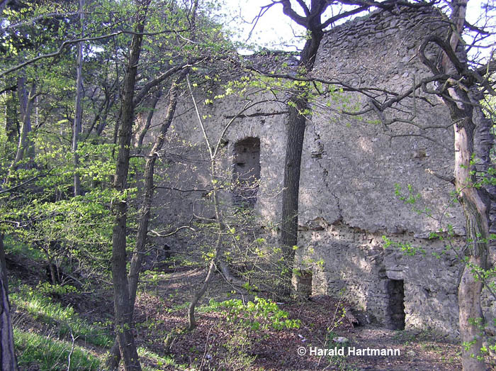 Ruine Kammerstein © Harald Hartmann