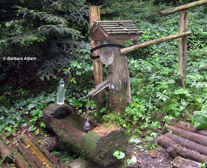 Bründl im Mehrntal, Lengau © Barbara Albert