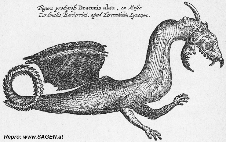 Der Drache aus dem Raritätenkabinet des Kardinals Barberini in Rom. Nach A. Kircher, 1678