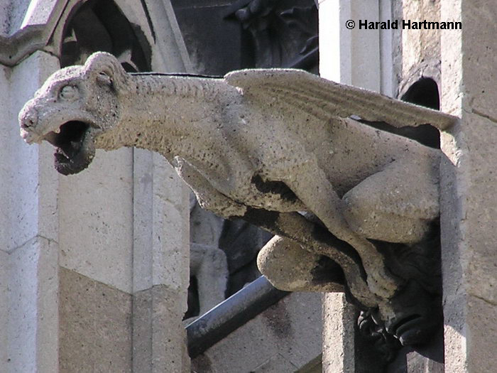 Wasserspeier Votivkirche © Harald Hartmann