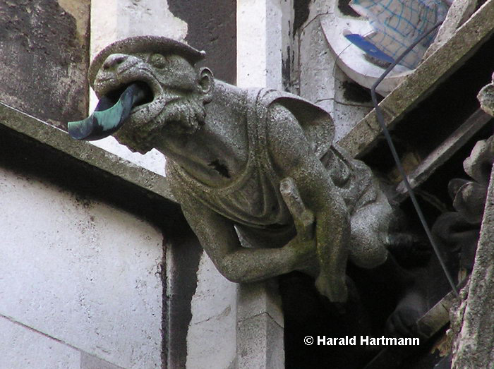 Wasserspeier Votivkirche © Harald Hartmann